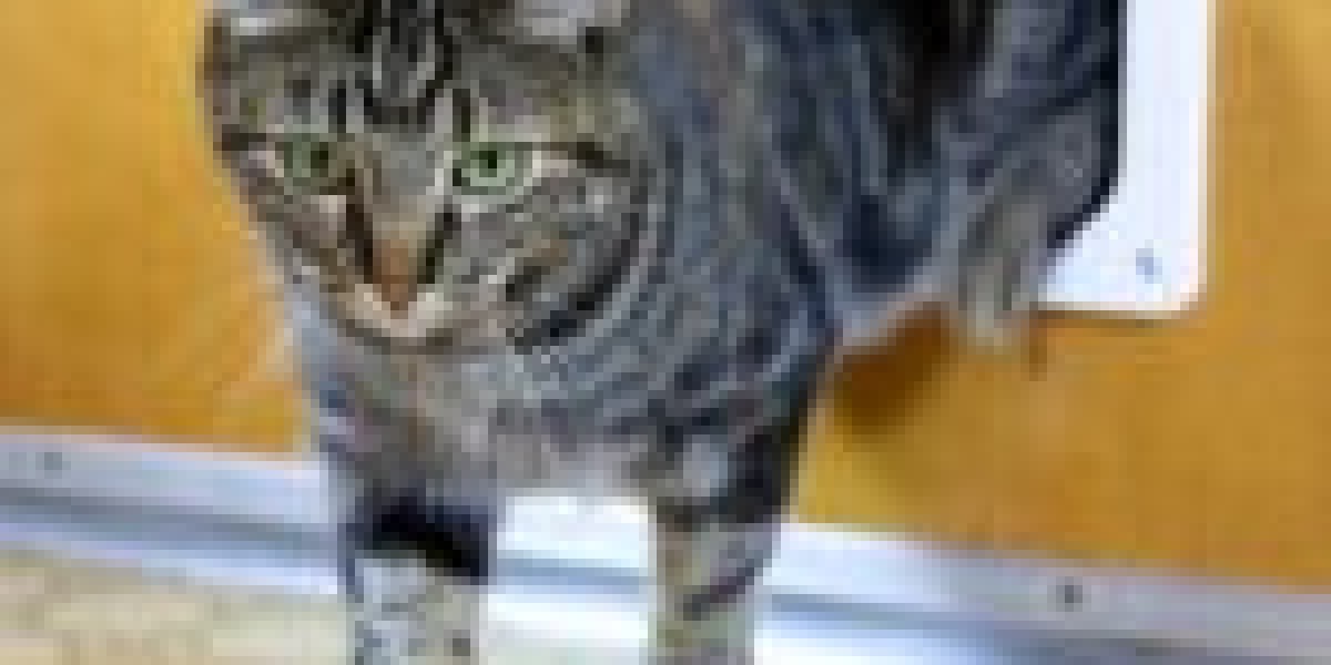 The Three Greatest Moments In Cat Door Placement History