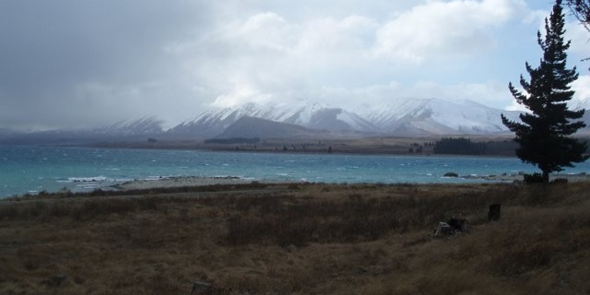 Meet the People Behind the Play