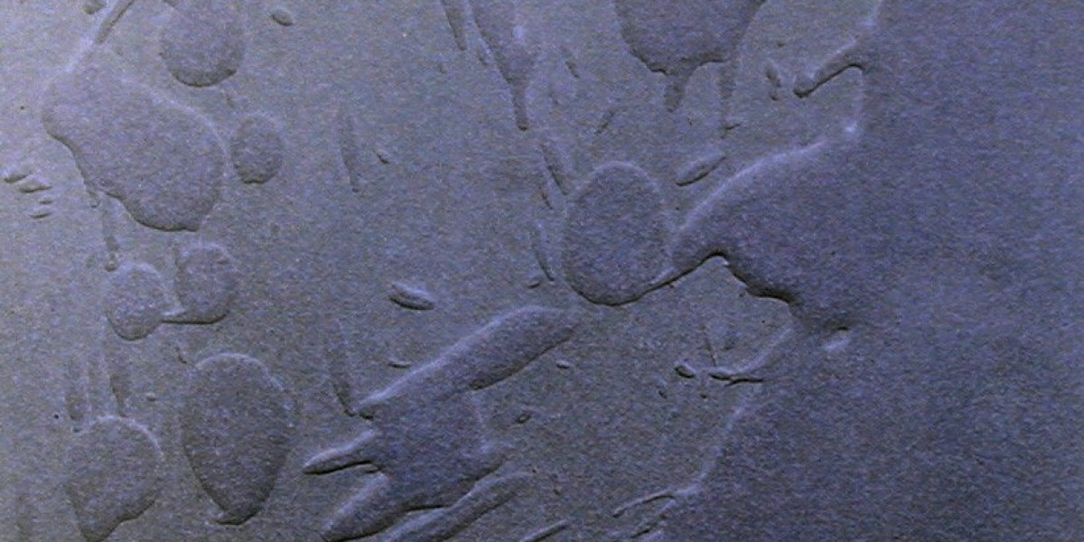 Meet the People Behind the Play