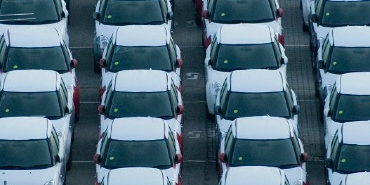 $20 No Deposit Bonus