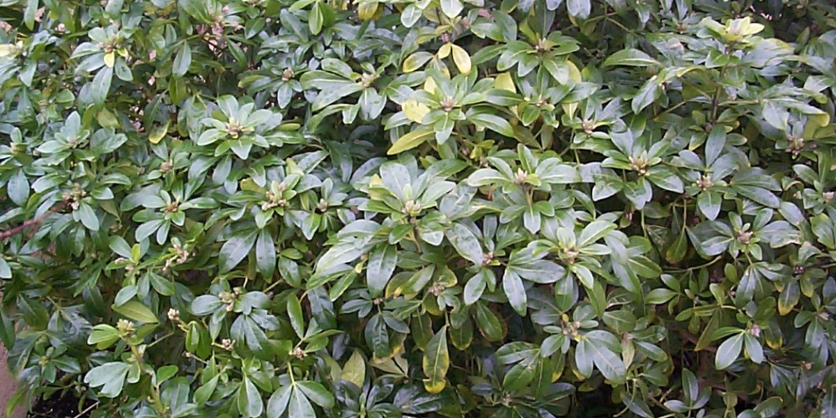 15 Best Online Casinos Australia 2025 Real Money Casino Sites