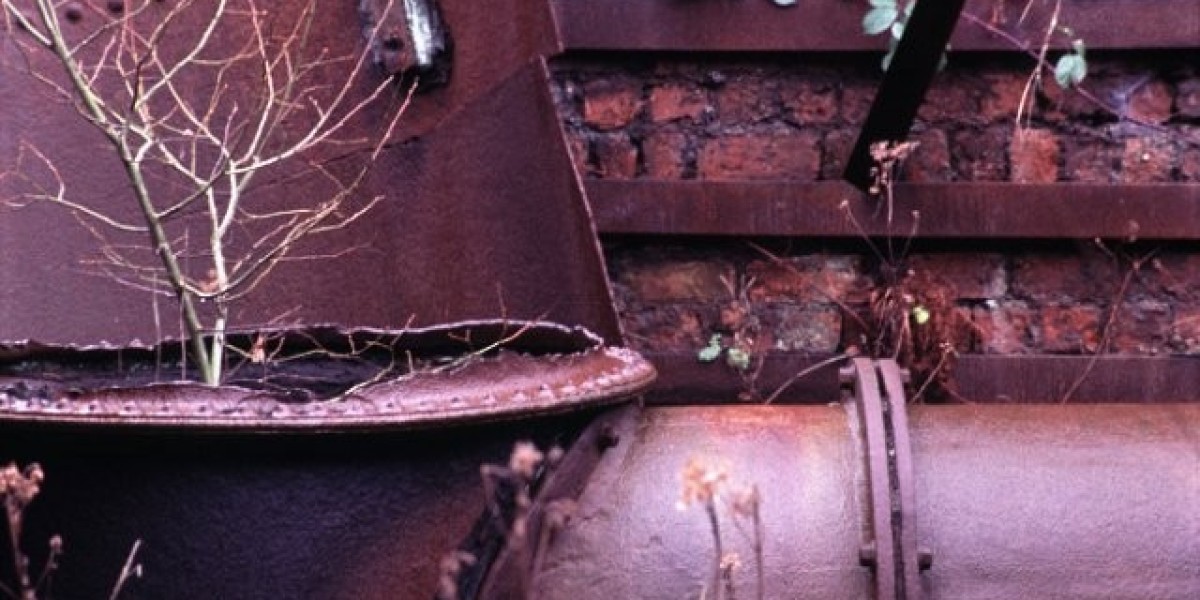 Dolly Casino Australia Play Slots with $1500 Bonus