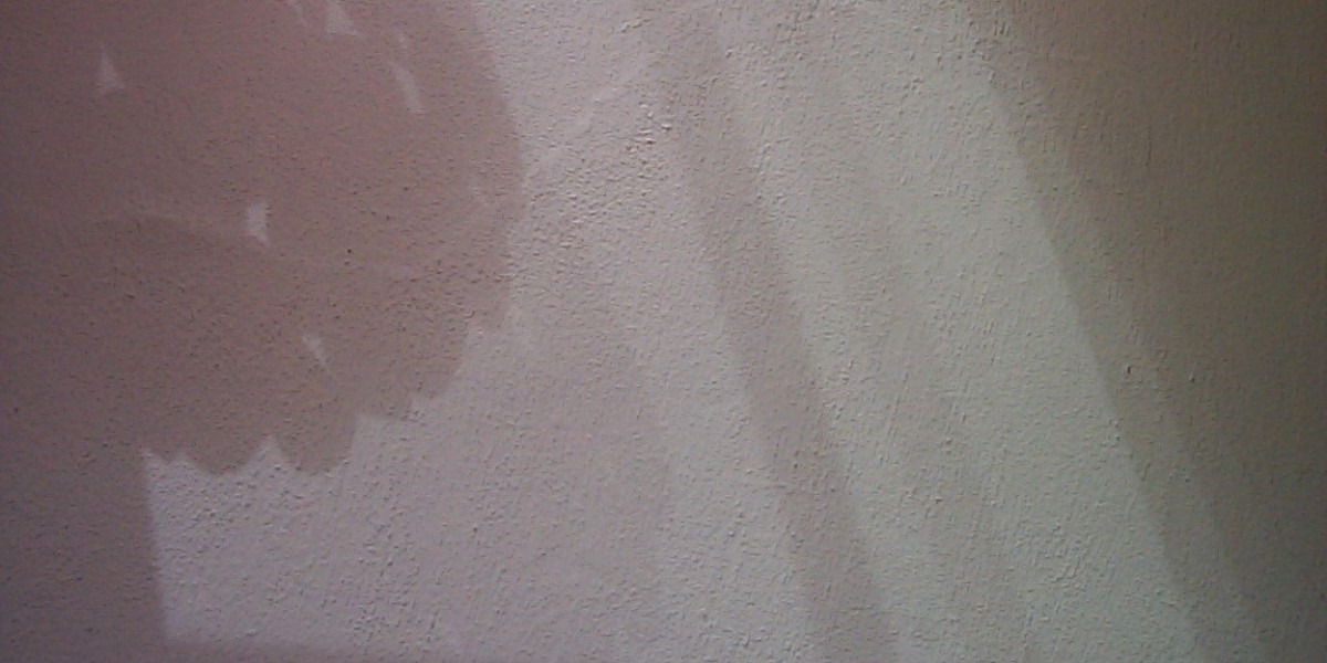 Meet the People Behind the Play