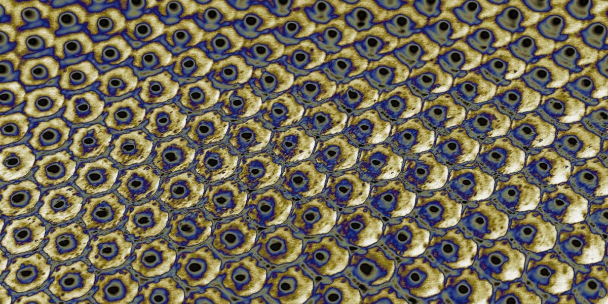 Best Real Money Australian Online Casino Sites for 2025