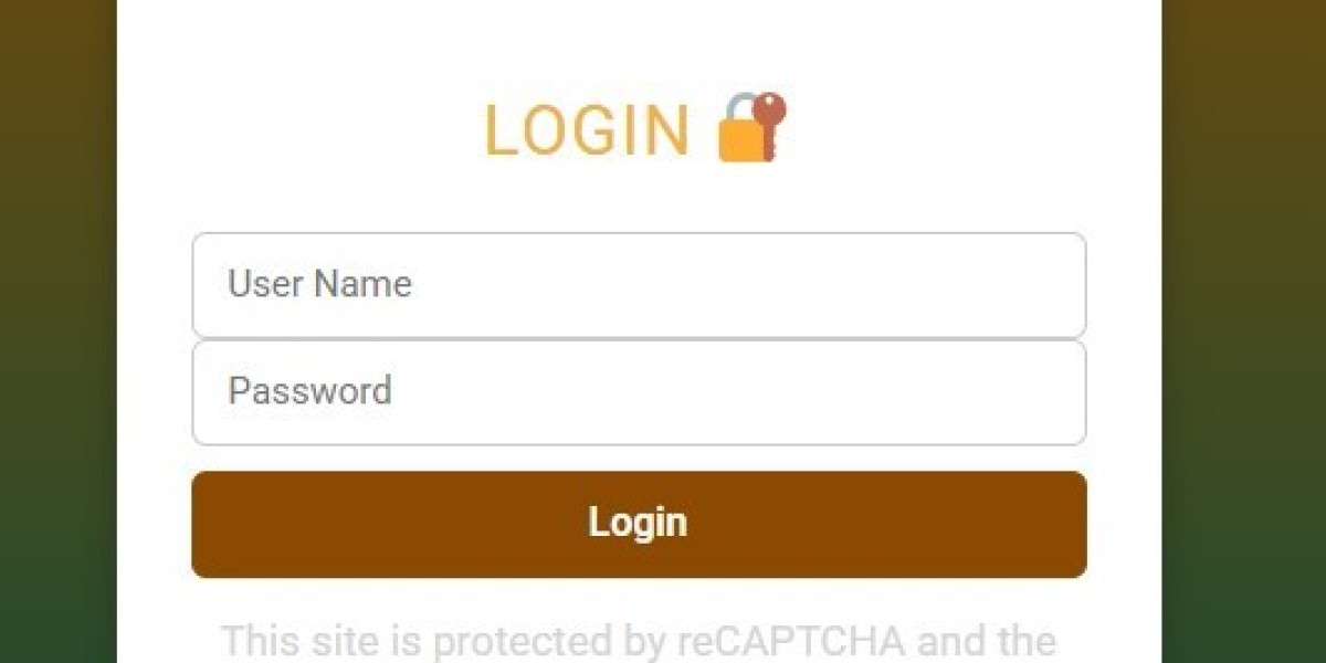 Why Betbhai9 Is India’s No 1 Platform for Cricket ID and Exchange ID