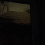 Andrew44 Profile Picture