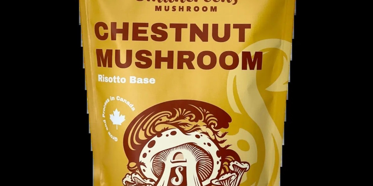 Mushroom Supplement Benefits for Daily Wellness